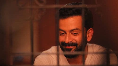 ഗോൾഡ് Bild 4