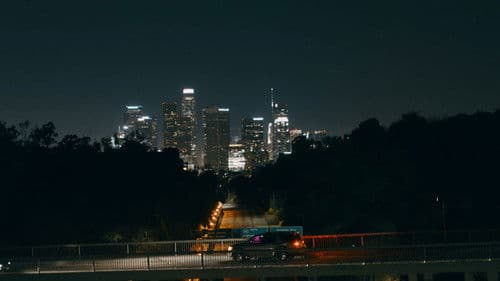 Anamorphia II Bild 1