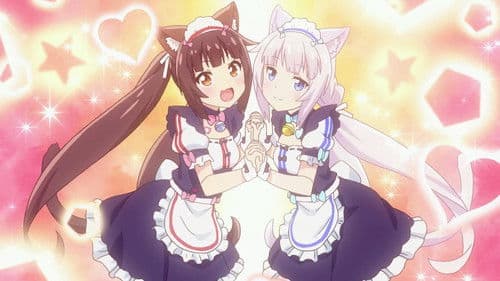NekoparA Bild 4