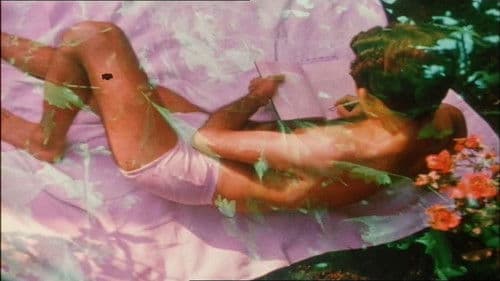 Early Monthly Segments Bild 8