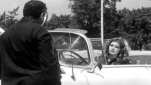 سبع الليل Bild 3