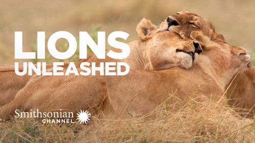 Lions Unleashed Bild 1