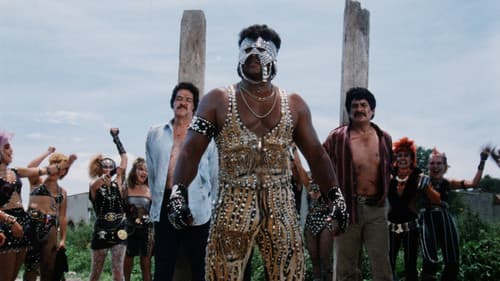 Intrépidos Punks Bild 4