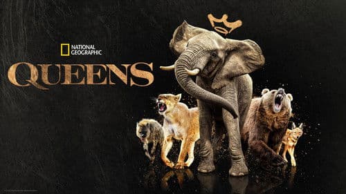 Queens – Königinnen des Tierreichs Bild 8