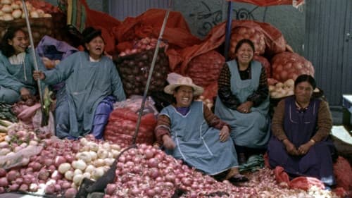 El Gran Movimiento Bild 2