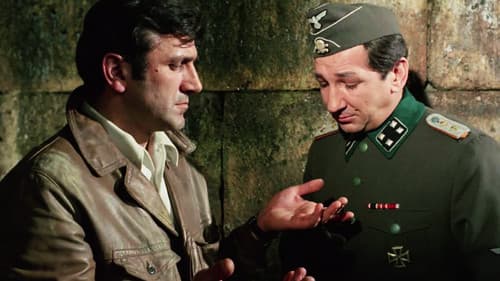 Auftrag für Tiger Bild 1