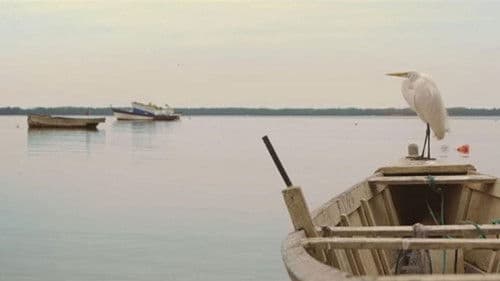 Doidos de Pedra - O Paraíso Esquecido Bild 1