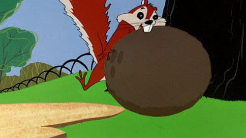 Much Ado About Nutting Bild 1