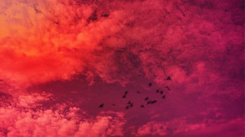 Taking my Time to Dance Bild 1