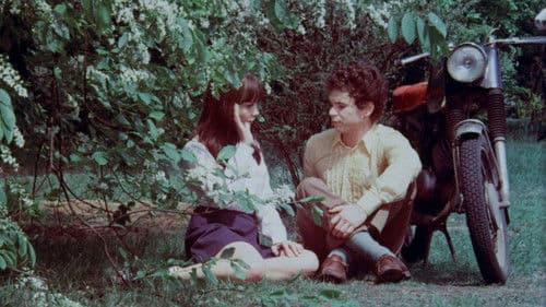 Josefine - das liebestolle Kätzchen Bild 3