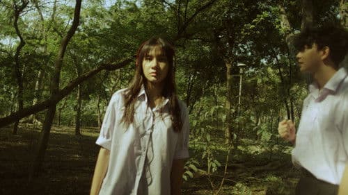 Twigs and Gum Bild 8