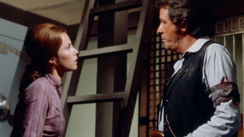 Shootout in a One-Dog Town Bild 3