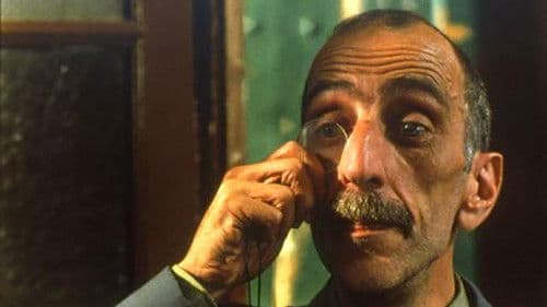 Recordações da Casa Amarela Bild 2