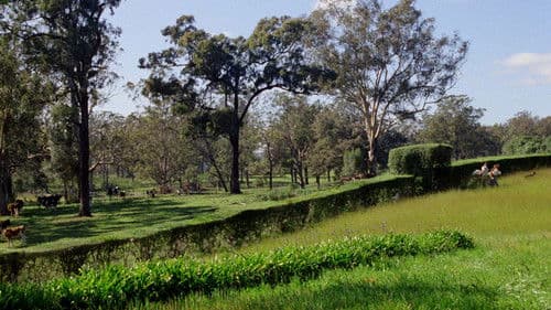 Meine brillante Karriere Bild 1