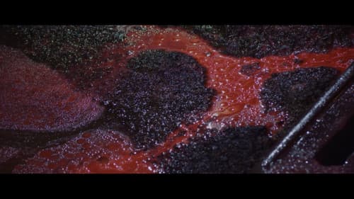 The Five Fingers of a Dog Bild 1