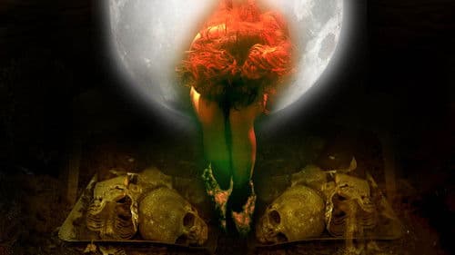 Im Nachtlicht Bild 4