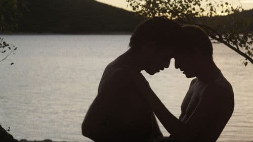 Der Fremde am See Bild 2