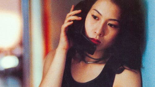 我的美麗與哀愁 Bild 2