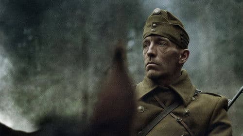 Das Licht in den Birkenwäldern Bild 1