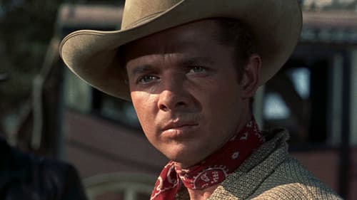 Adlerschwinge Bild 3