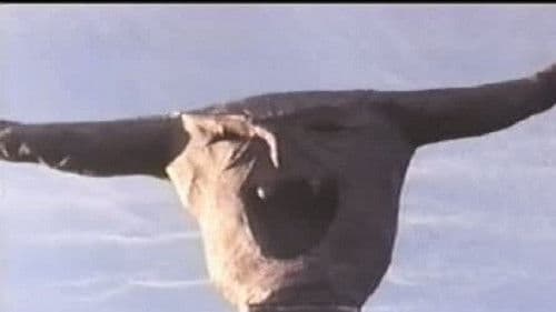 The Final Sacrifice Bild 1