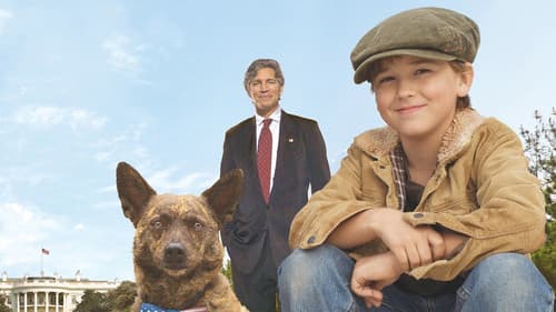 First Dog - Zurück nach Hause Bild 2