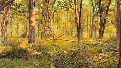 A Late Night Bottle of Water Bild 1