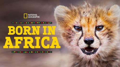 Born in Africa Bild 3