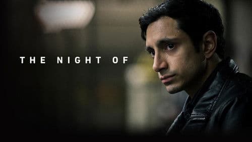 The Night Of - Die Wahrheit einer Nacht Bild 4