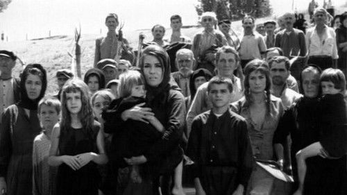 Blutendes Land Bild 4