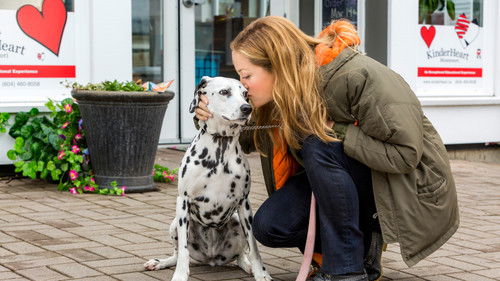 My Boyfriends' Dogs Bild 4