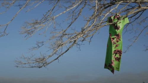 El Affaire Miu Miu Bild 3