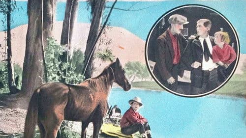 Arizona Sweepstakes Bild 1