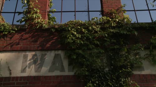 The Curse and the Jubilee Bild 1