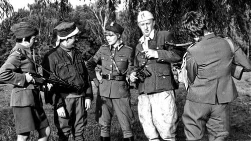 Rzeczpospolita babska Bild 4