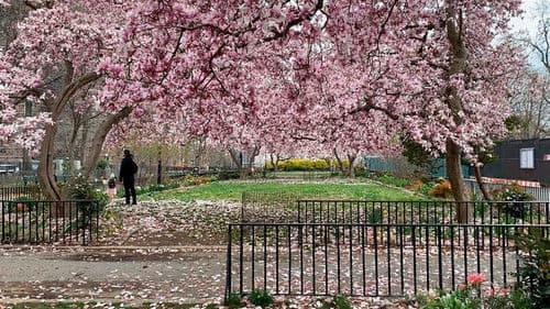 Archipiélago Bild 5