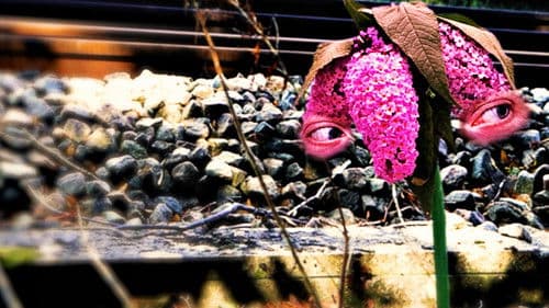 Patchwork Travesty Bild 7