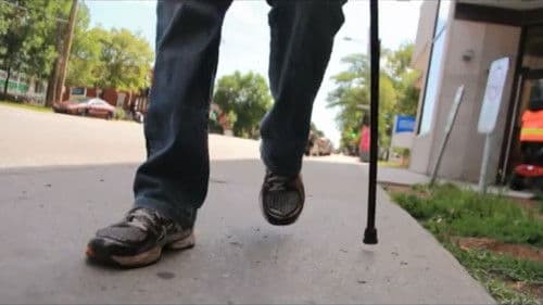 Why Do We Fall? Bild 4