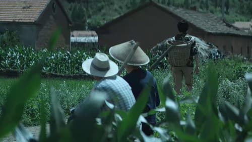 疯狂的快递 Bild 1