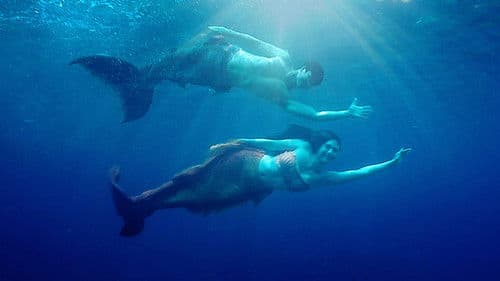 My Fairy Tail Love Story Bild 5