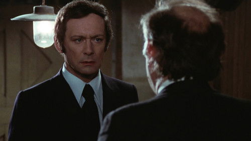 L'Affaire Crazy Capo Bild 6