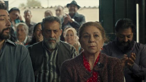 Mallorca Confidencial Bild 3