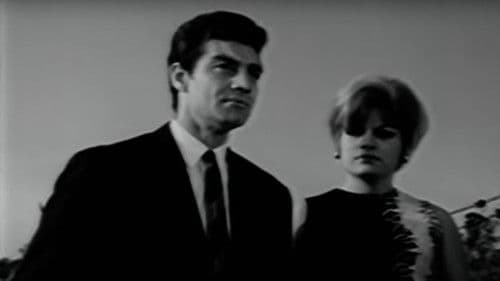 Artık Düşman Değiliz Bild 3