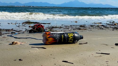 Perder Raízes Bild 1