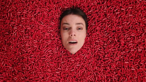 Die rote Königin Bild 7