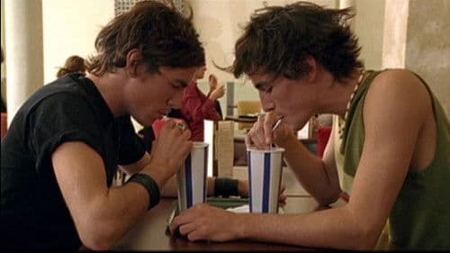 Bébé requin Bild 1