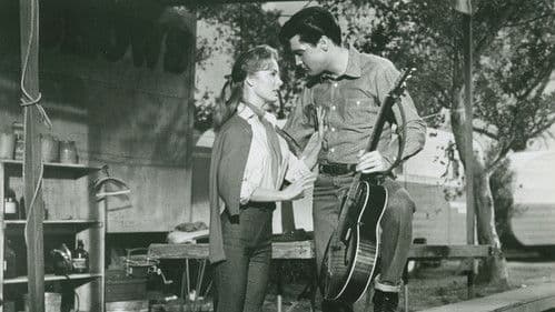 König der heißen Rhythmen Bild 6