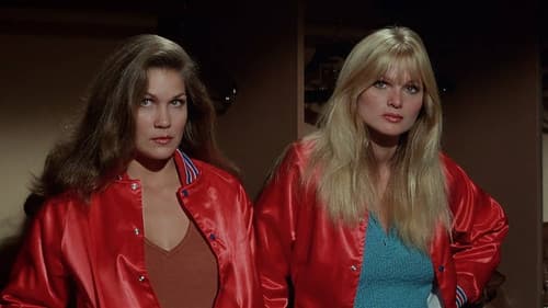 Kesse Bienen auf der Matte Bild 4