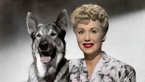 Rin Tin Tin - Die Rückkehr Bild 1