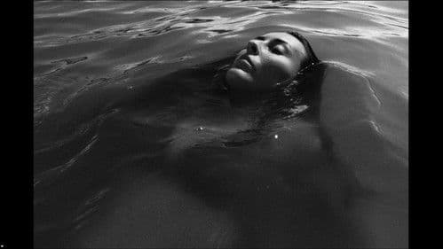 CATABASE FIRST PART - AD LOVE Bild 2